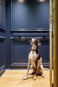 home elevators in new jersey
